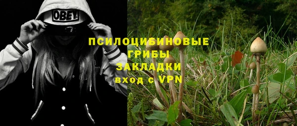 гашик Армянск