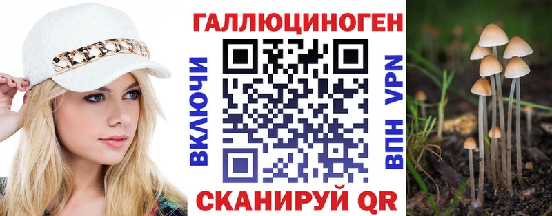 Галлюциногенные грибы Psilocybine cubensis Балей